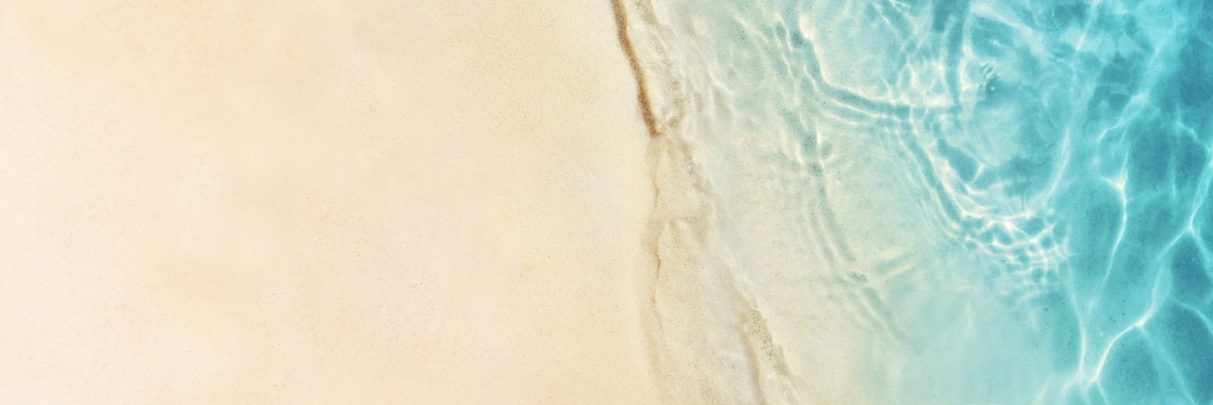 Eshop header - Summer Favorites